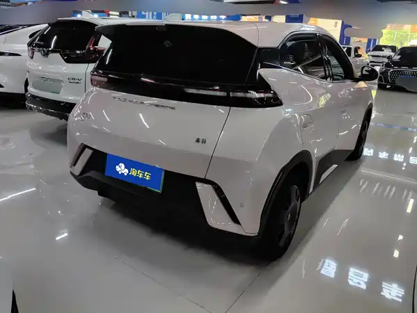 BYD Seagull 2024