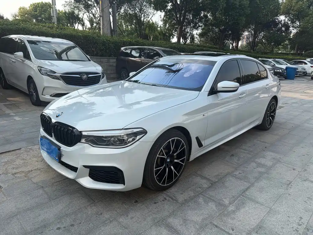 BMW 5 Series 2019