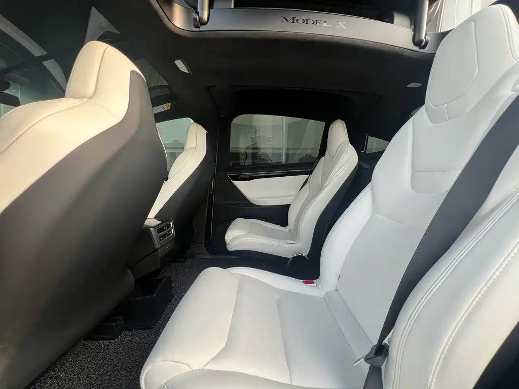 Tesla Model X 2017 — фото 14