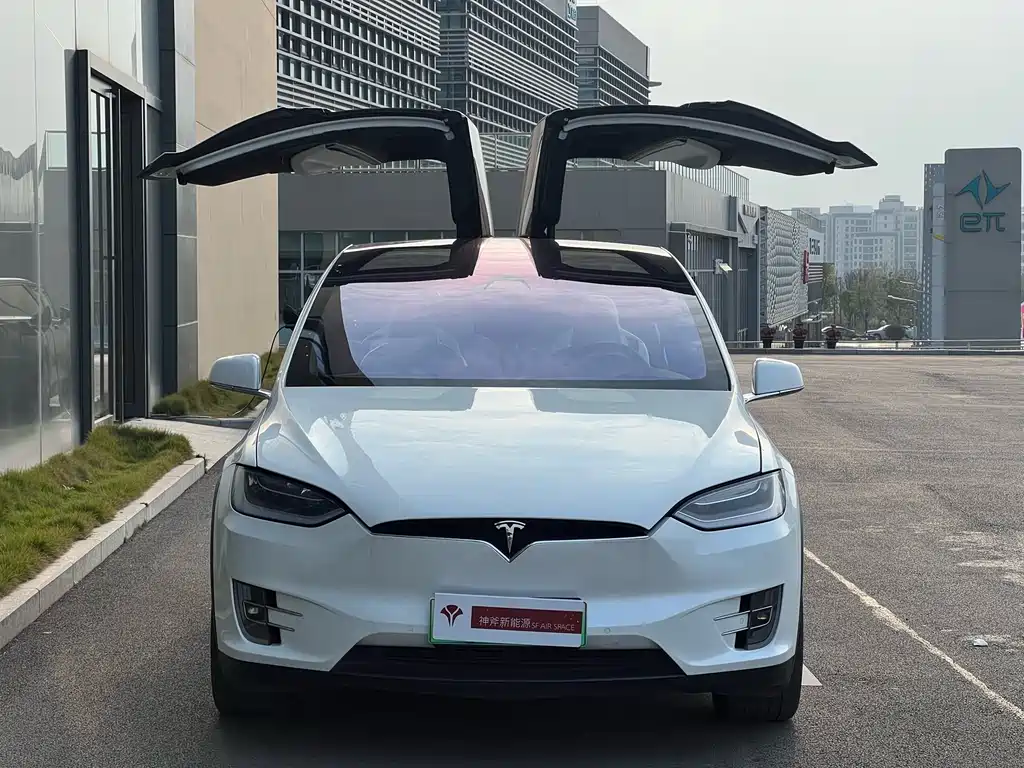 Tesla Model X 2017 — фото 18