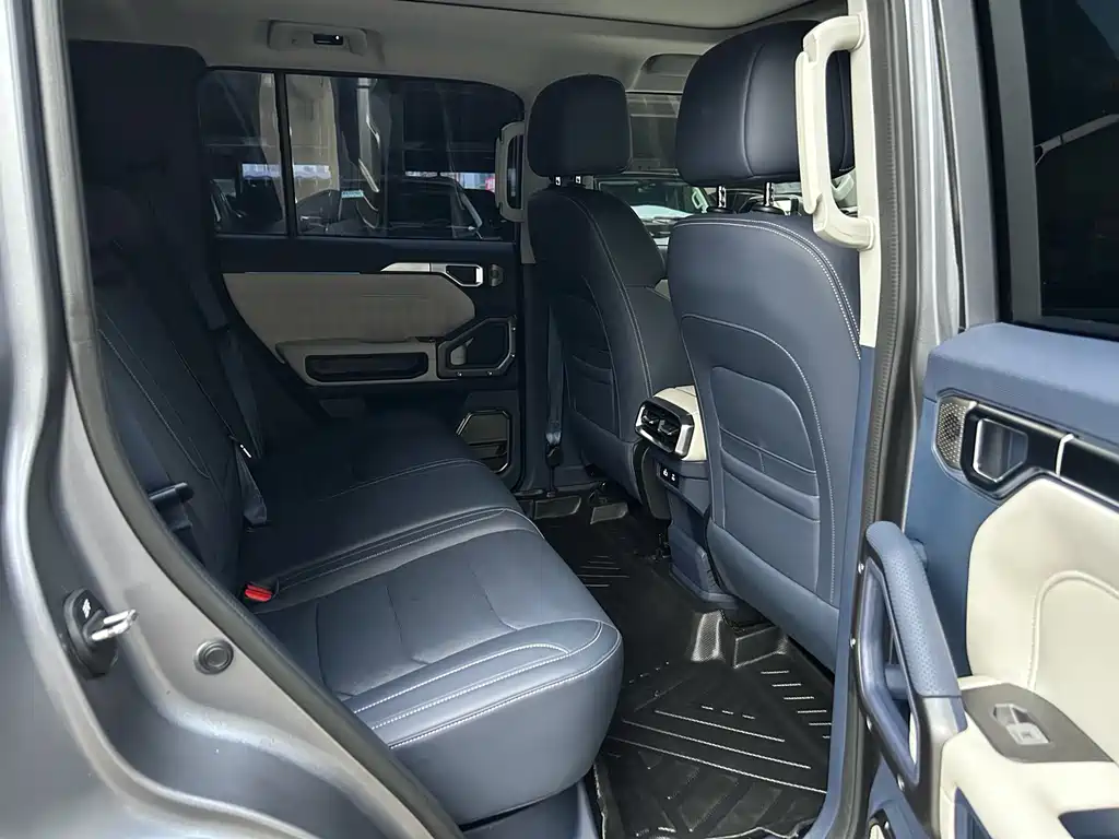 Shanhai Traveller C-DM 2025 — фото 11