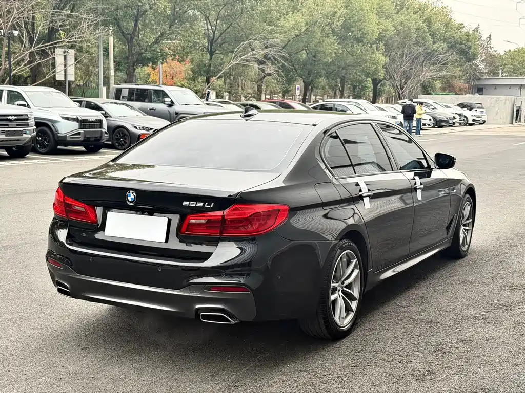 BMW 5 Series 2018 — фото 17