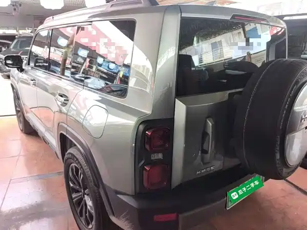 Haval Raptors New Energy 2024