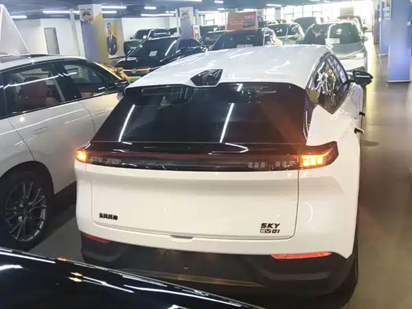 Dongfeng Aeolus SKY 2026