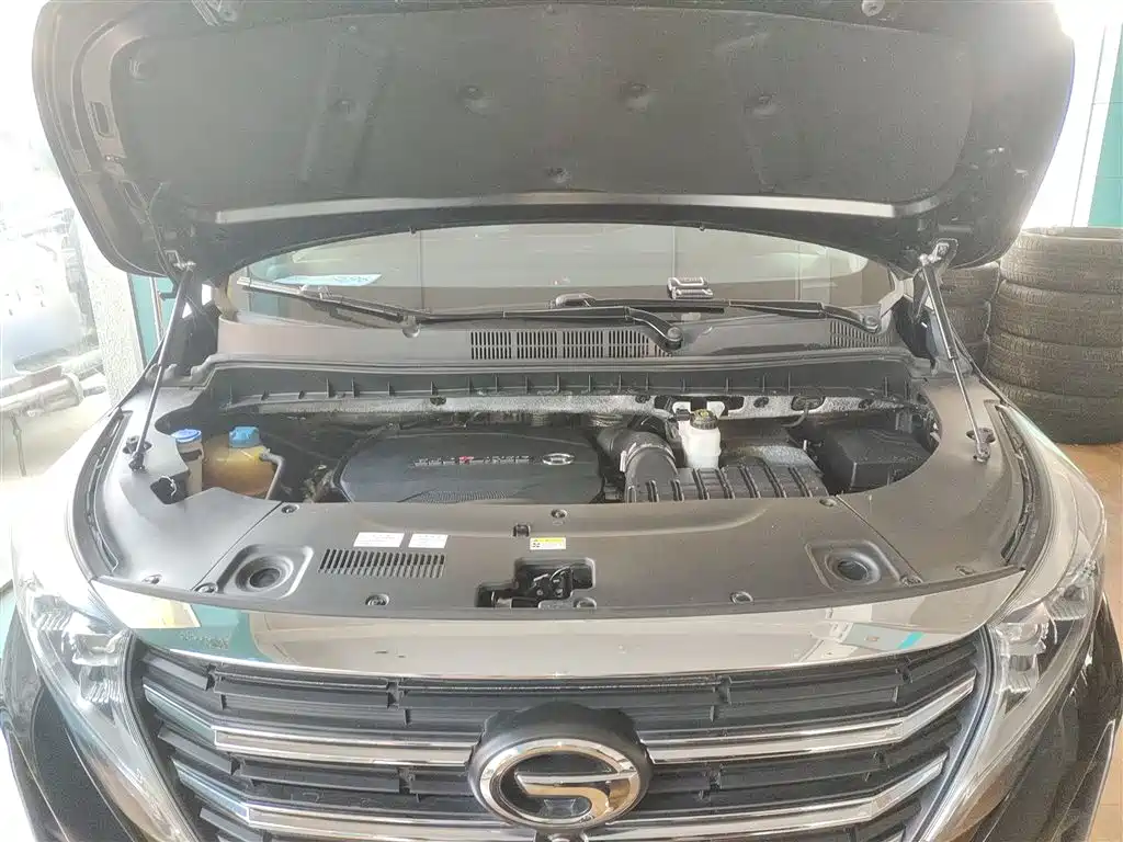GAC Motor Trumpchi M8 2021 — фото 20