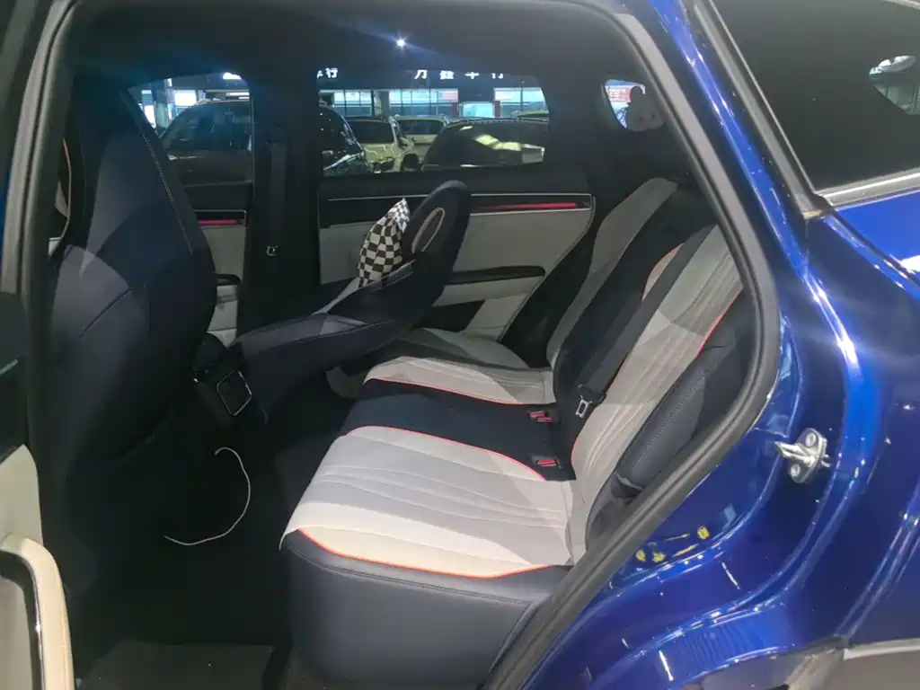 BYD Song PLUS New Energy 2023 — фото 17