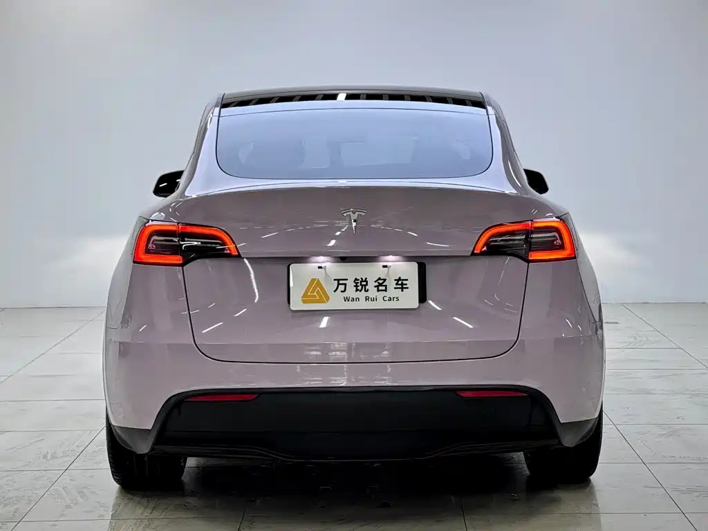 Tesla Model Y 2023 — фото 4