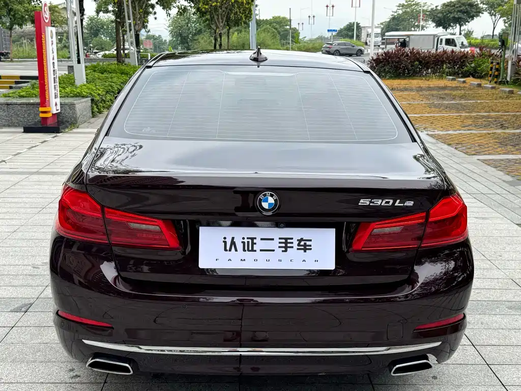 BMW 5 Series New Energy 2020 — фото 11