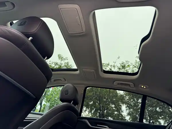 BMW 5 Series New Energy 2020