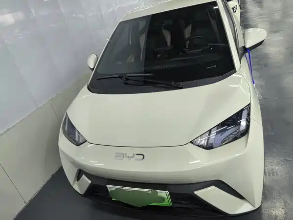 BYD Seagull 2024