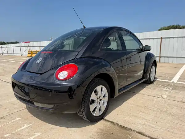 Volkswagen Beetle 2010