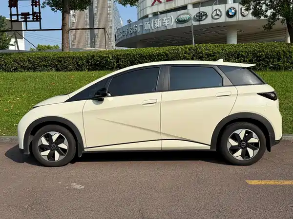 BYD Dolphin 2024