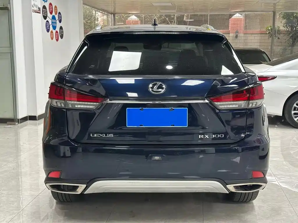 Lexus RX 2020 — фото 9