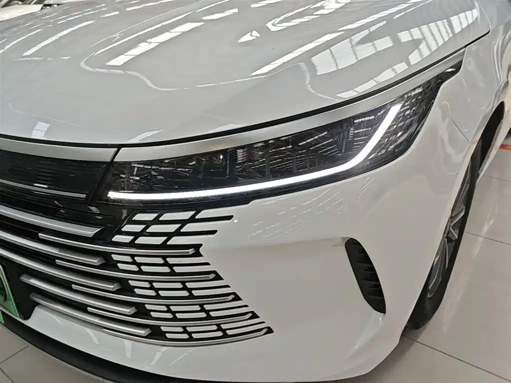 BYD Destroyer 05 2024 — фото 24