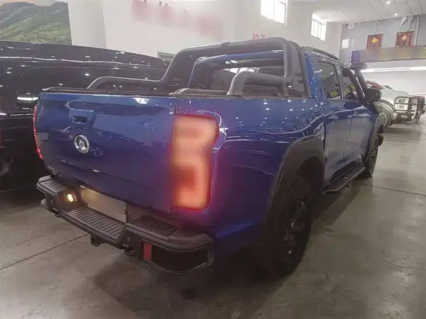 Great Wall Poer 2020