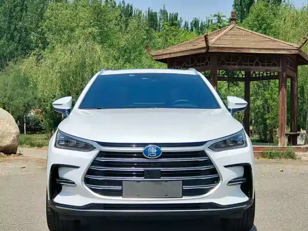 BYD Tang New Energy 2024