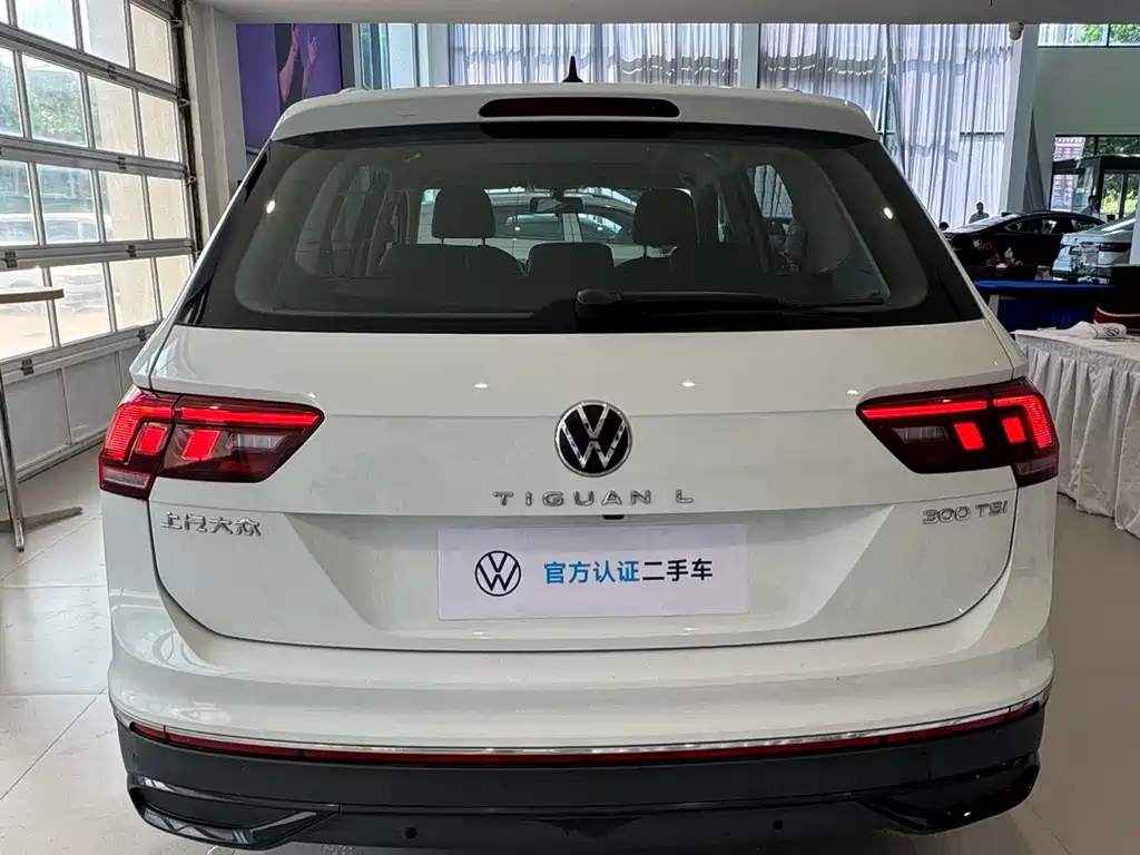 Volkswagen Tiguan L 2024 — фото 15