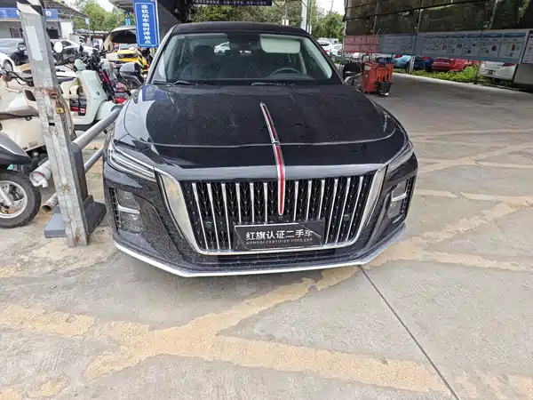 Hongqi H5 2024