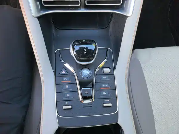 BYD Song PLUS New Energy 2022