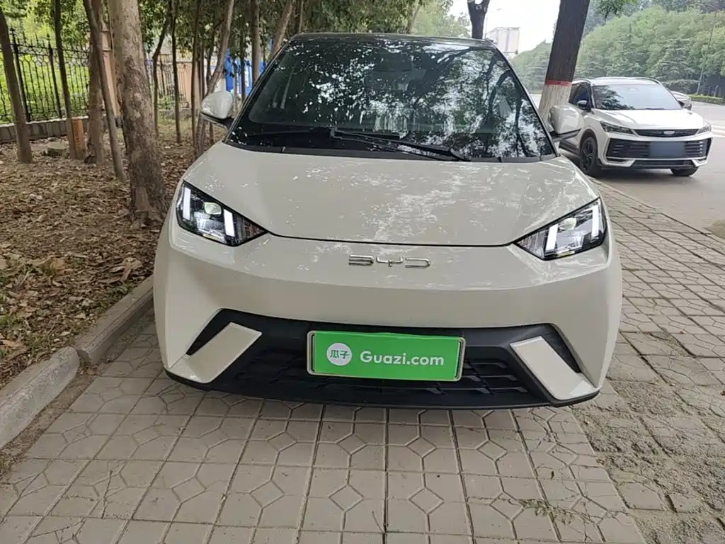 BYD Seagull 2024