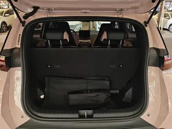 BYD Seagull 2024