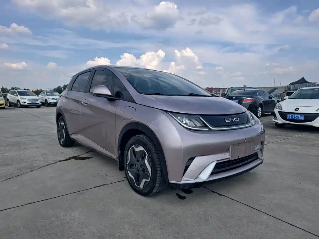BYD Dolphin 2022