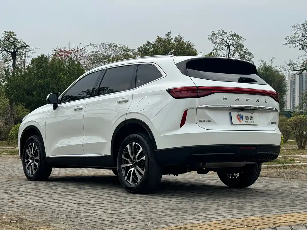 Haval H6 2023 — фото 24