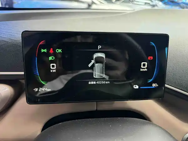 BYD Seagull 2024