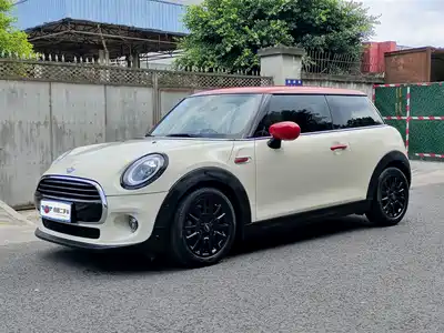 MINI MINI 2019