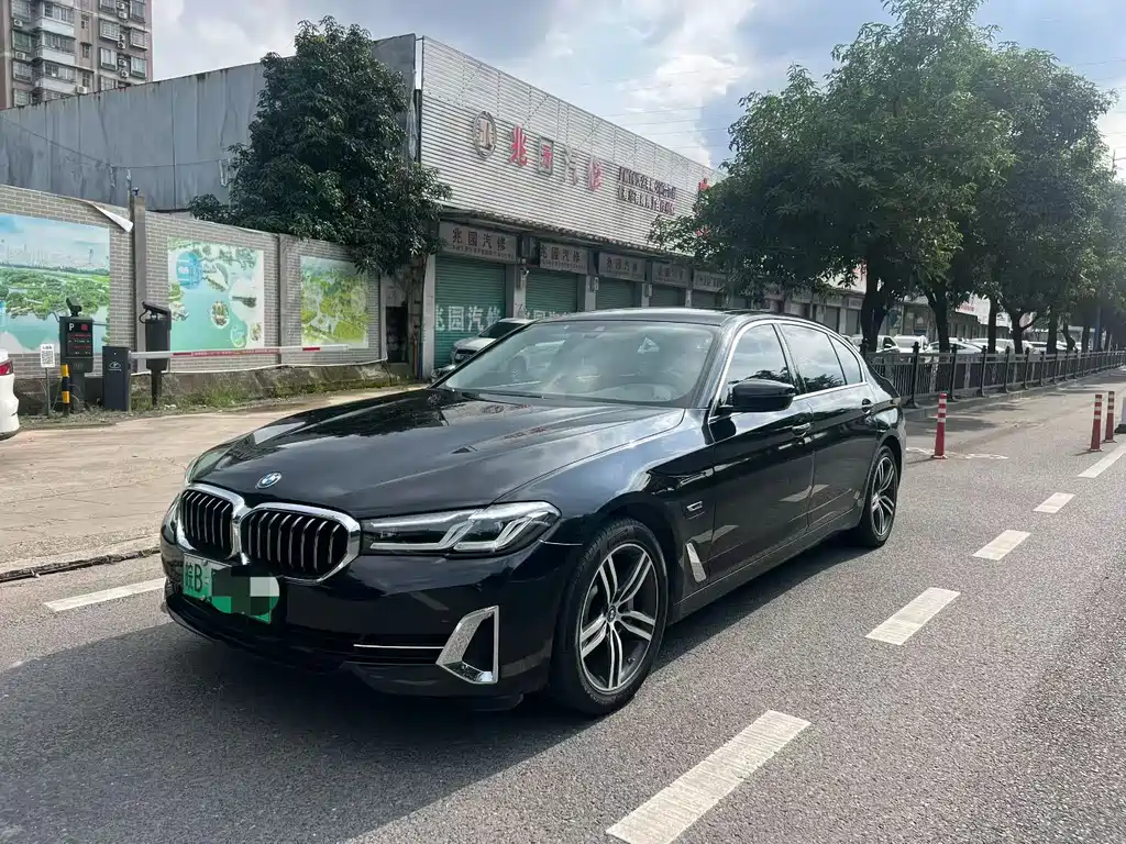 BMW 5 Series New Energy 2021