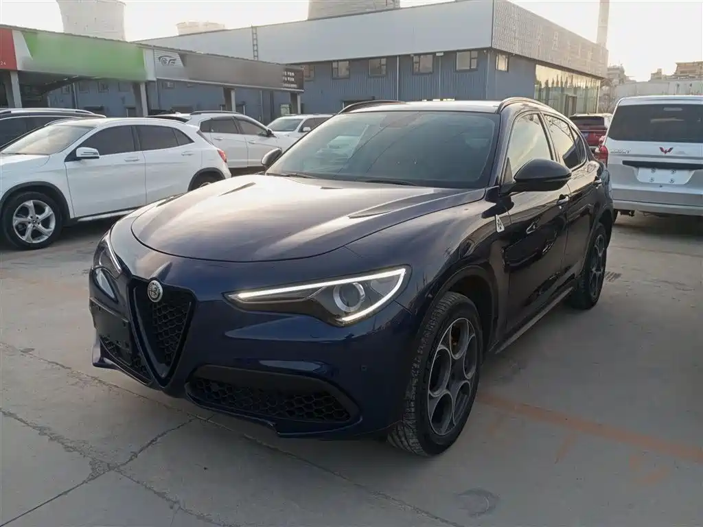 Alfa Romeo Stelvio 2020 — фото 1