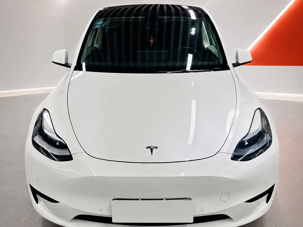 Tesla Model Y 2023 — фото 2