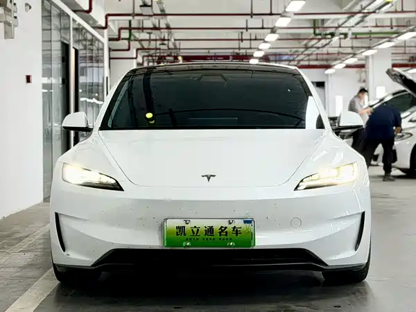 Tesla Model 3 2025