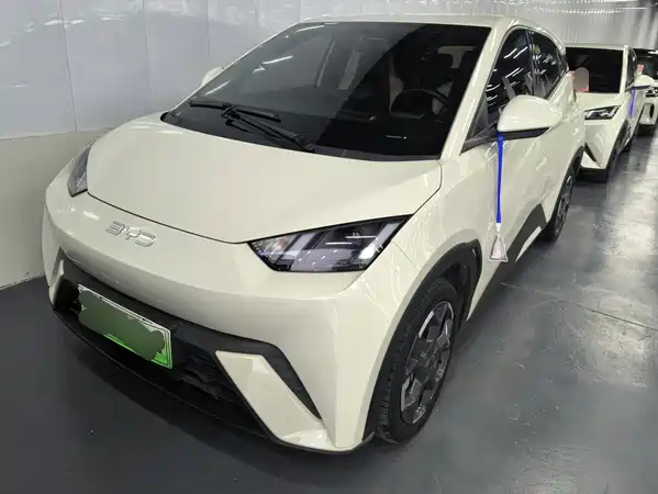 BYD Seagull 2024