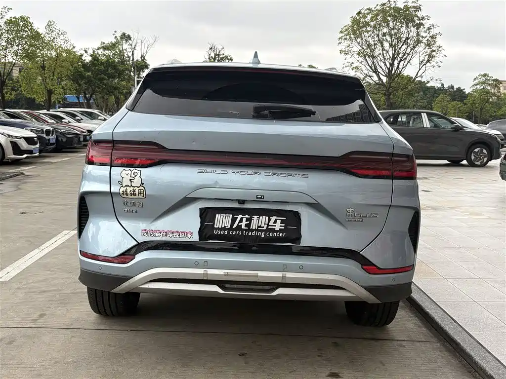 BYD Song PLUS New Energy 2024 — фото 8