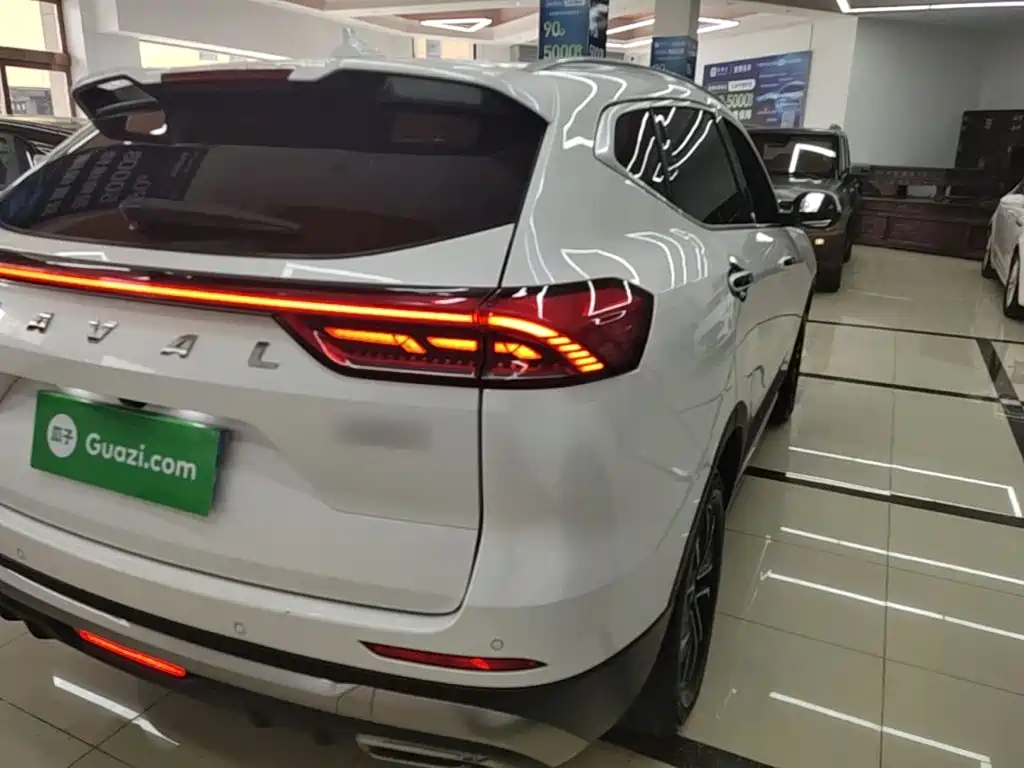 Haval H6 2023 — фото 24