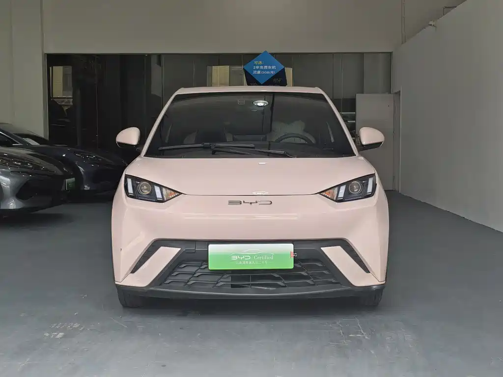 BYD Seagull 2024