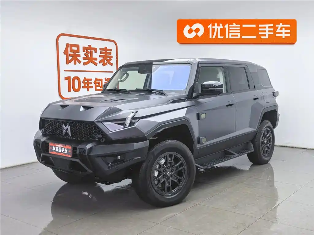 Mengshi 917 2024