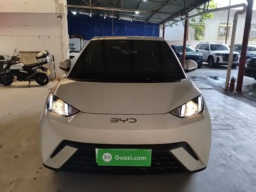 BYD Seagull 2025