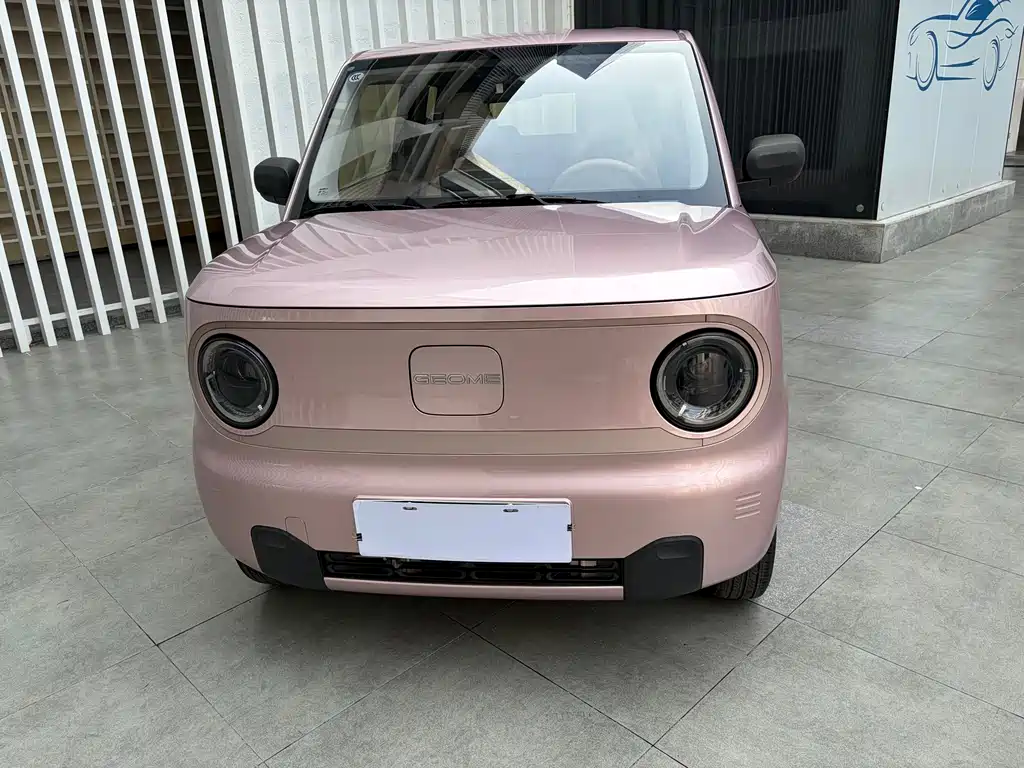 Geely Galaxy Panda 2024