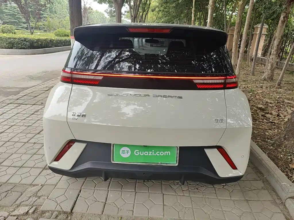 BYD Seagull 2024