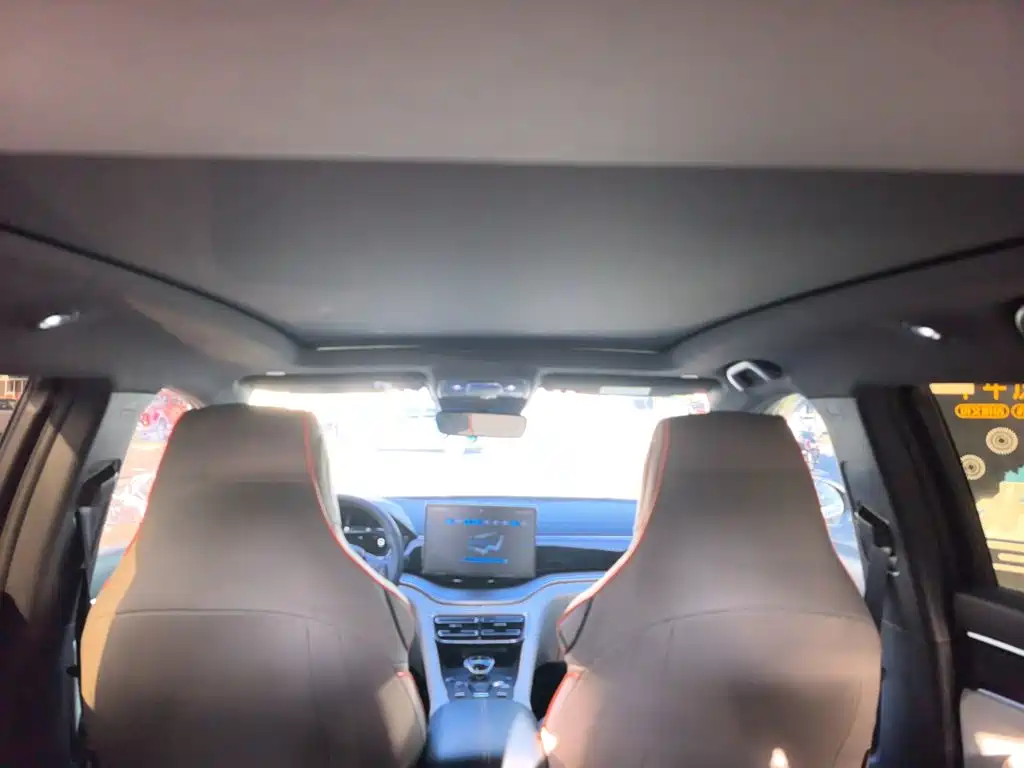 BYD Song PLUS New Energy 2022 — фото 18