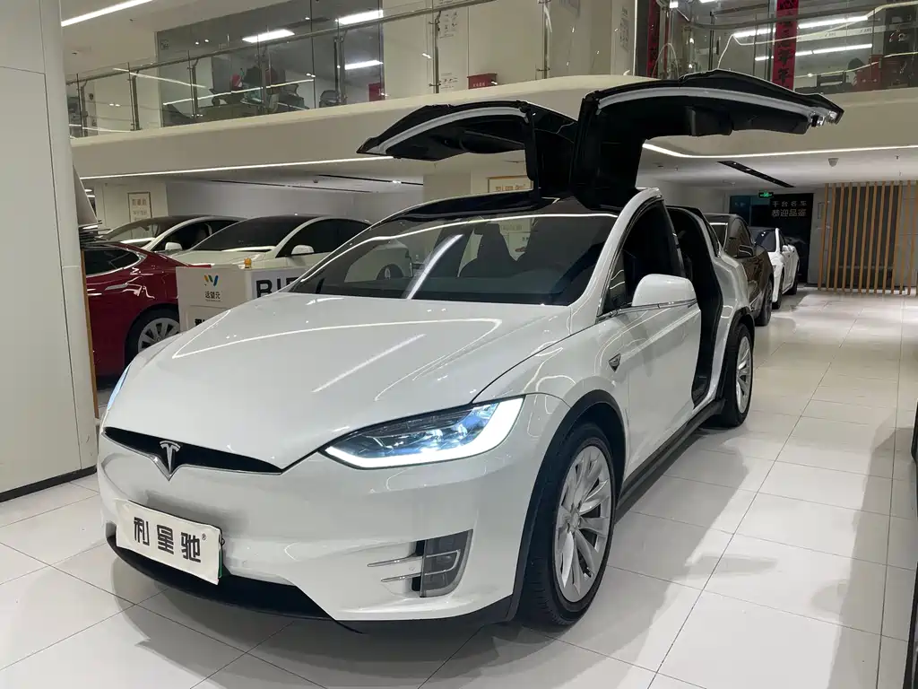 Tesla Model X 2019