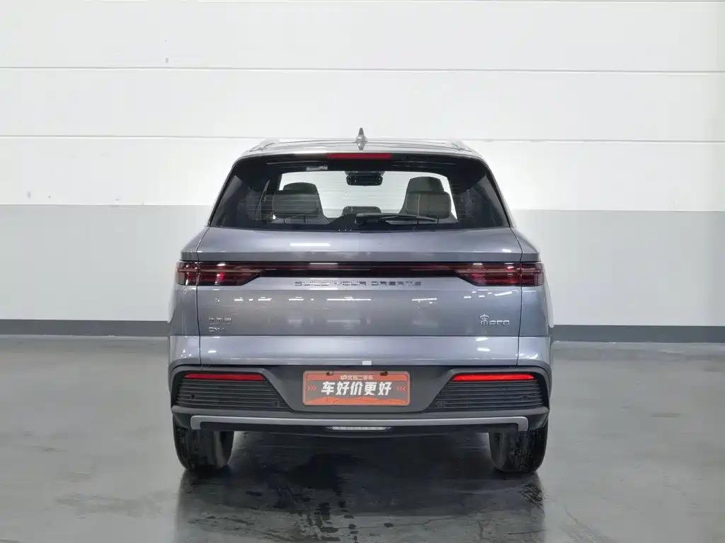 BYD Song Pro New Energy 2024 — фото 4