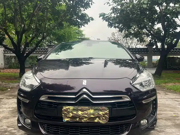 DS 5 2014
