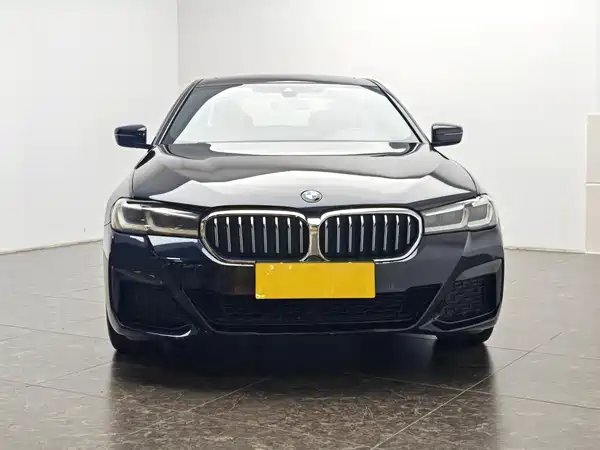 BMW 5 Series New Energy 2021