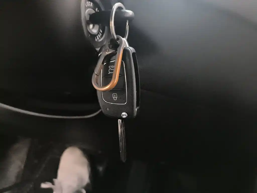 Hyundai Elantra 2017 — фото 17