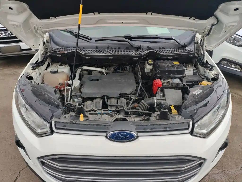 Ford Ecosport 2017 — фото 16