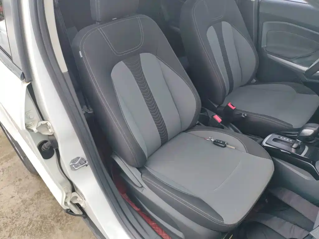 Ford Ecosport 2017 — фото 20
