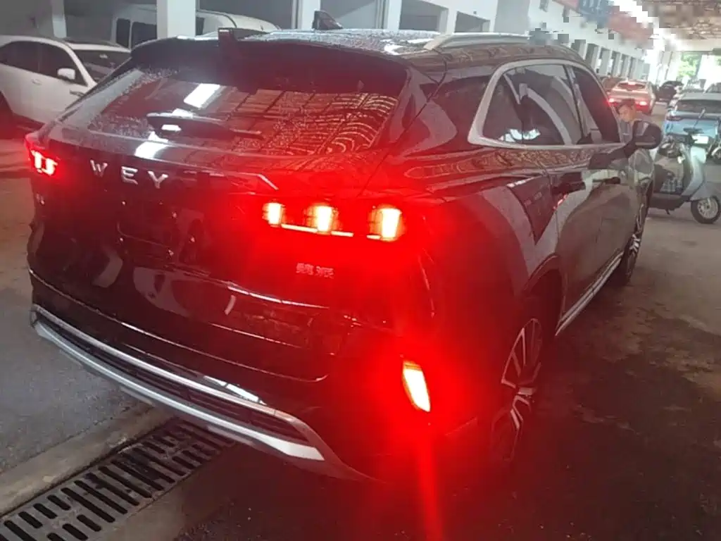 Wey Mocha 2021